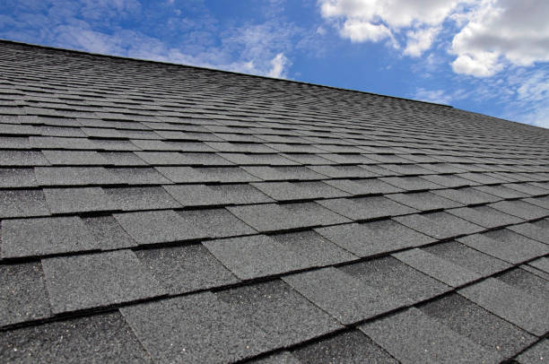 Best Roof Moss and Algae Removal  in Cudahy, CA